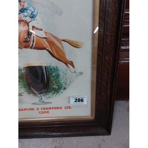 286 - Knuckleduster Stout Beamish and Co Cork framed advertising print. {50 cm H x 28 cm W}.