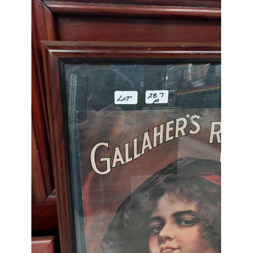 287a - Gallaghers Rich Dark Honeydew framed advertising print. { 75 cm H x 56 cm W}