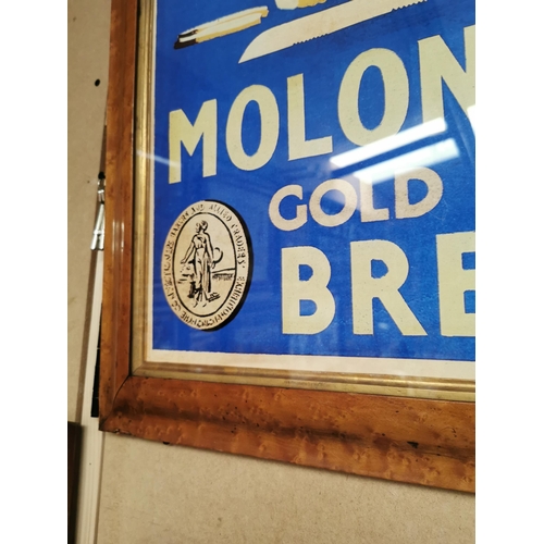 552 - We Sell Moloney's Gold Medal Bread framed advertising print. { 63 cm H x 53 cm W}.