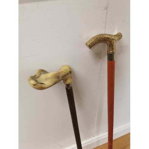 1028 - Two gentleman's walking sticks { 82cm H }.