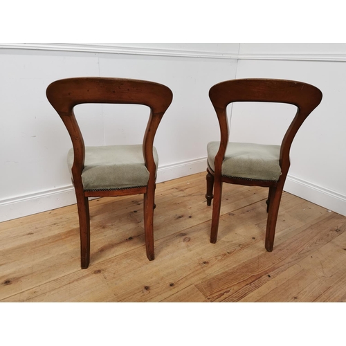 1067 - Pair of 19th. C. mahogany spoon backed dining chairs with upholstered seats raised on turned legs { ... 