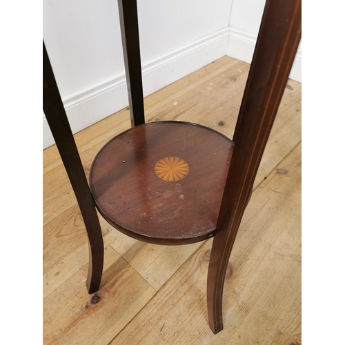 1070 - Edwardian mahogany with satinwood inlay jardiniere stand raised on square tapered legs { 100cm H X 3... 