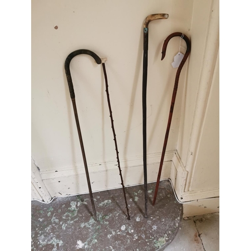 267 - Four 19th. C. walking sticks