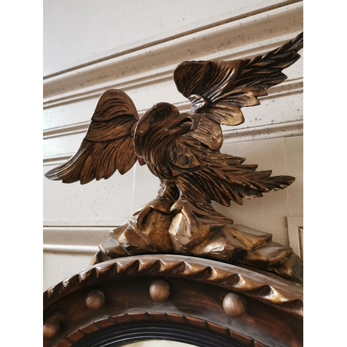 293 - 19th. C. gilt convex wall mirror surmounted with an eagle { 90cm H X 61cm W }.