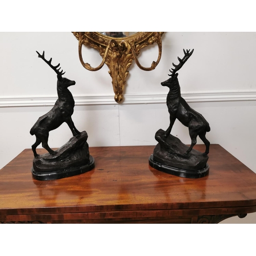 400 - Pair of bronze Stags on marble bases {44 cm H x 24 cm W x 14 cm D}.