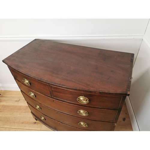 407 - 19th. C. mahogany bow fronted chest the two short drawers over three graduated long drawers rasied o... 