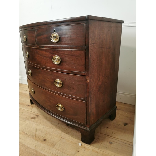 407 - 19th. C. mahogany bow fronted chest the two short drawers over three graduated long drawers rasied o... 