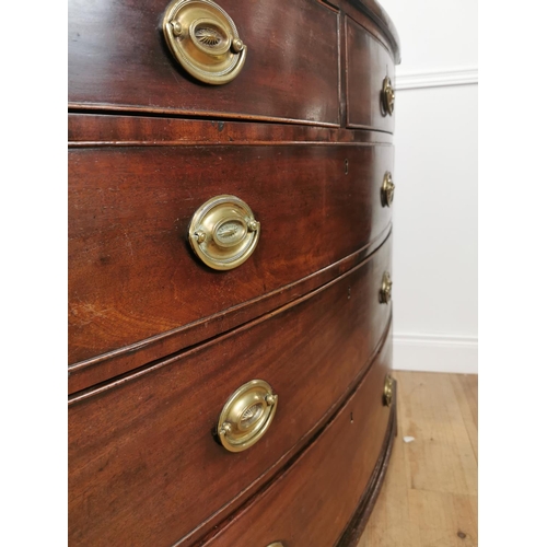 407 - 19th. C. mahogany bow fronted chest the two short drawers over three graduated long drawers rasied o... 