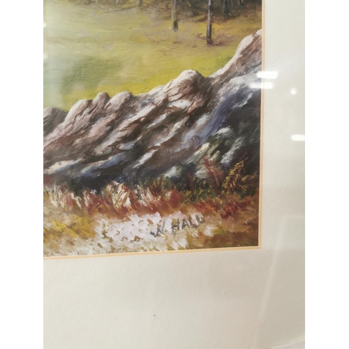 41 - W. Hall Mountain Lake Scene framed Oil on Board {56cm H x 59cm W}