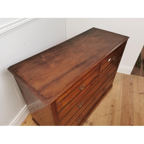 446 - Edwardian mahogany chest the two short drawers over two long drawers raised on plinth base. { 82cm H... 