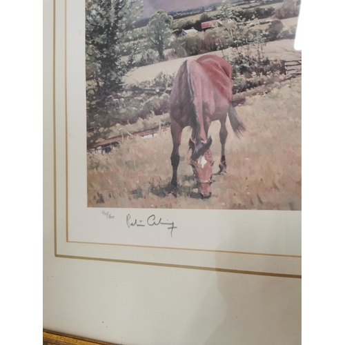 447 - Peter Curling Horses Grazing in Summer framed coloured print { 56cm H X 82cm W }.