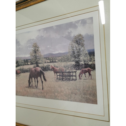 447 - Peter Curling Horses Grazing in Summer framed coloured print { 56cm H X 82cm W }.