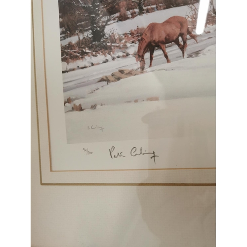 448 - Peter Curling Horses Grazing in Winter framed coloured print { 56cm H X 82cm W }.