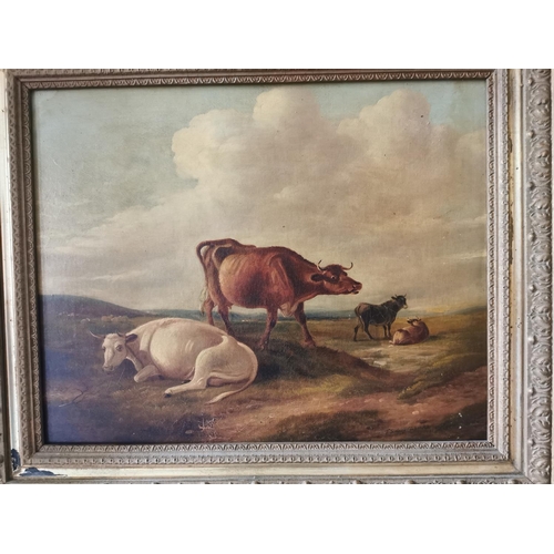 485 - 19th C. oil on canvas Cattle scene mounted in giltwood frame {75 cm H x 65 cm W}.