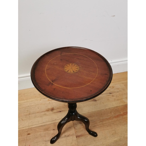 520 - Good quality Edwardian mahogany and satinwood inlaid wine table raised on turned column and three ou... 