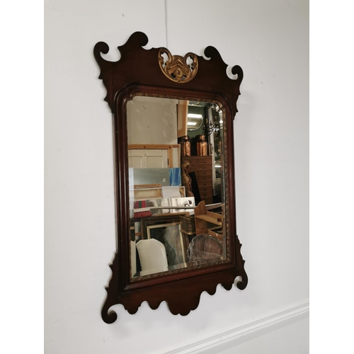 550 - 19th C. mahogany partial gilt pier mirror {88 cm H x 52 cm W}.