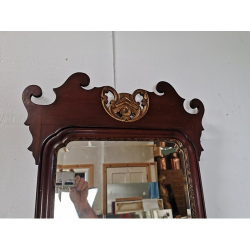 550 - 19th C. mahogany partial gilt pier mirror {88 cm H x 52 cm W}.