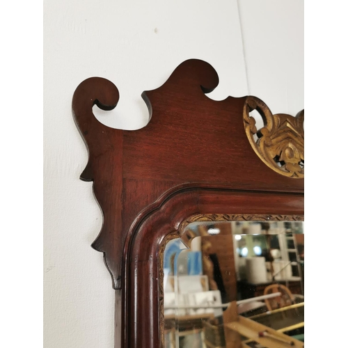 550 - 19th C. mahogany partial gilt pier mirror {88 cm H x 52 cm W}.