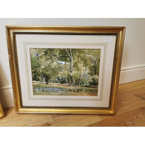 56 - Pair of Maurice C Wilkes Woodland Scene watercolours mounted in gilt frames {49 cm H x 59 cm W}.