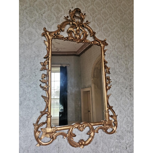 562 - Pair of good quality gilt wall mirrors, surmounted with foliage, in the Rococo style. { 174cm H X 10... 