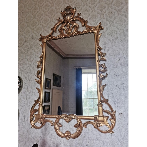 562 - Pair of good quality gilt wall mirrors, surmounted with foliage, in the Rococo style. { 174cm H X 10... 