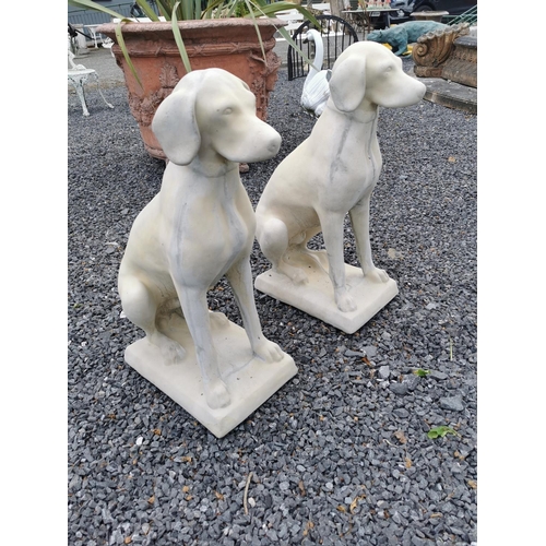 640 - Pair of moulded stone models of seated Dogs. {73 cm H x 30 cm W x 45 cm D}.