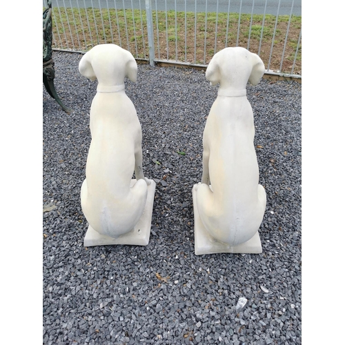 640 - Pair of moulded stone models of seated Dogs. {73 cm H x 30 cm W x 45 cm D}.