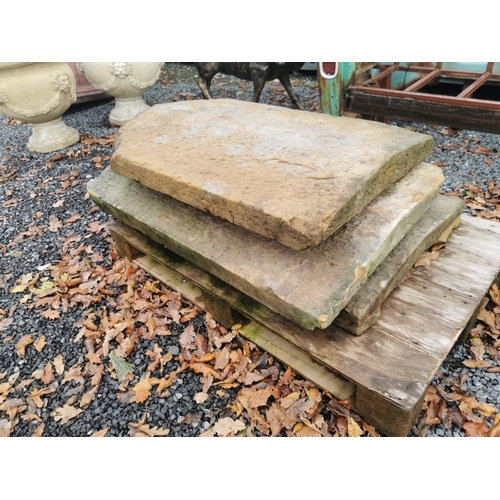 642a - Collection of 19th. C. sandstone coping stones originally from Dartry Castle Cootehill Co Cavan  { A... 