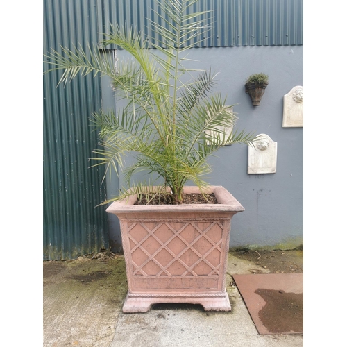 645 - Pair of exceptional quality moulded terracotta tree planters with basket weave and rope design. {85 ... 