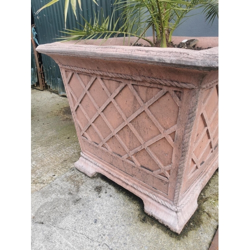 645 - Pair of exceptional quality moulded terracotta tree planters with basket weave and rope design. {85 ... 