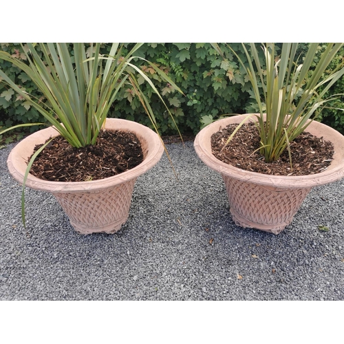 646 - Exceptional pair of moulded terracotta circular planters with basket weave design. {74 cm H x 100 cm... 