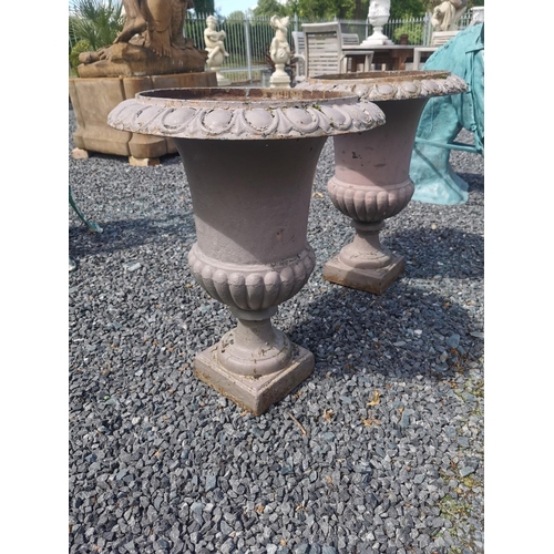 648 - Pair of 19th C. cast iron urns {65 cm H x 58 cm Dia.}.