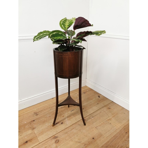 693 - Edwardian mahogany jardiniere { 92cm H X 41cm Dia }.