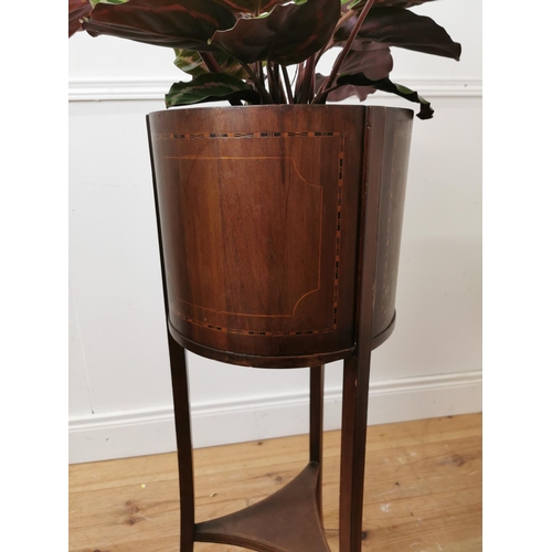 693 - Edwardian mahogany jardiniere { 92cm H X 41cm Dia }.