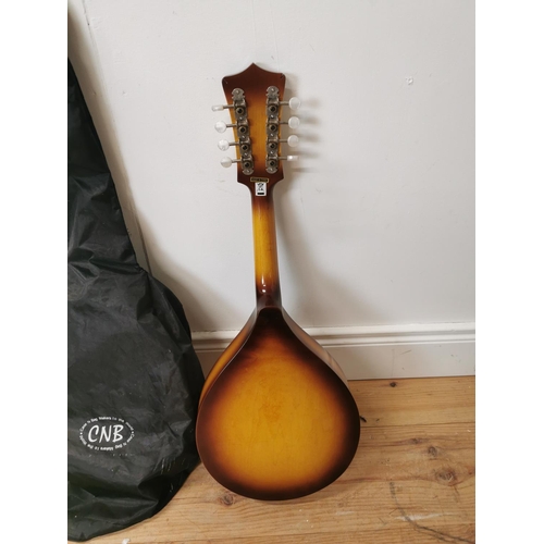 708 - Mandolin with case.