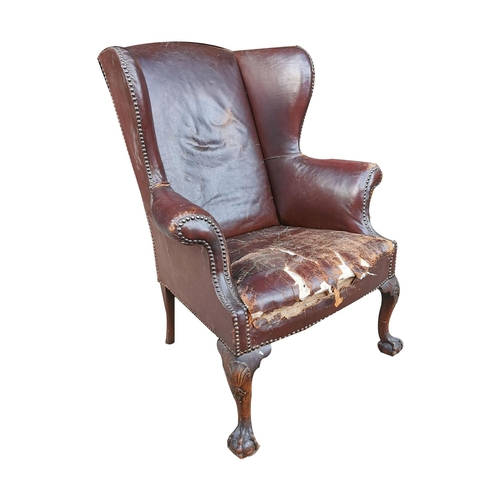 717 - Edwardian leather upholstered wing backed armchair raised on carved mahogany cabriole legs { 104cm H... 