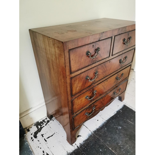 722 - Neat George III mahogany chest the two short drawers over three graduated long drawers raised on oge... 