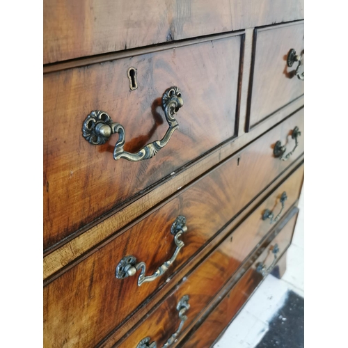 722 - Neat George III mahogany chest the two short drawers over three graduated long drawers raised on oge... 