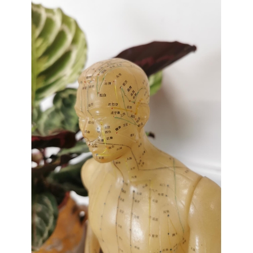 730 - Rare Chinese acupuncture medical dummy { 52cm H X 20cm W X 15cm D }.