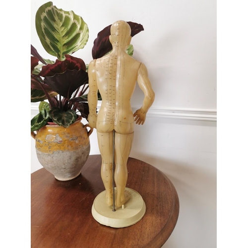 730 - Rare Chinese acupuncture medical dummy { 52cm H X 20cm W X 15cm D }.