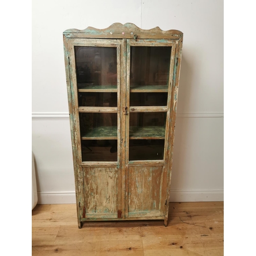 738 - 19th. C.painted pine cabinet with two glazed and panelled doors { 172cm H X 82cm W X 34cm D }.