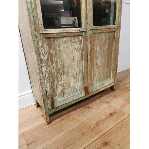 738 - 19th. C.painted pine cabinet with two glazed and panelled doors { 172cm H X 82cm W X 34cm D }.