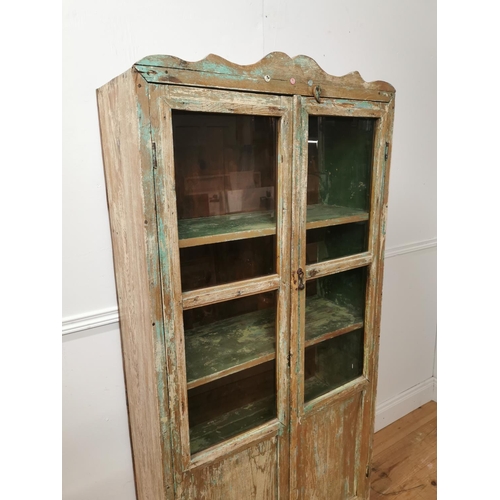 738 - 19th. C.painted pine cabinet with two glazed and panelled doors { 172cm H X 82cm W X 34cm D }.