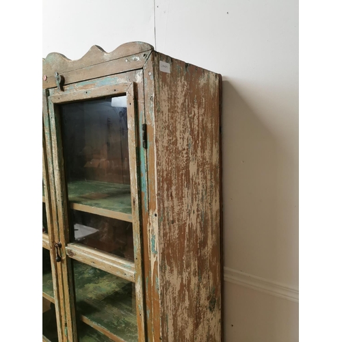 738 - 19th. C.painted pine cabinet with two glazed and panelled doors { 172cm H X 82cm W X 34cm D }.