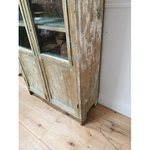 738 - 19th. C.painted pine cabinet with two glazed and panelled doors { 172cm H X 82cm W X 34cm D }.