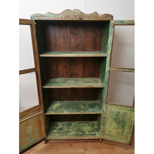 738 - 19th. C.painted pine cabinet with two glazed and panelled doors { 172cm H X 82cm W X 34cm D }.