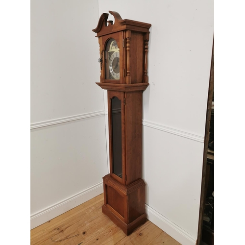 744 - Walnut grandmother clock with brass arched dial and glazed long door { 185cm H X 40cm W  X 25cm D }.