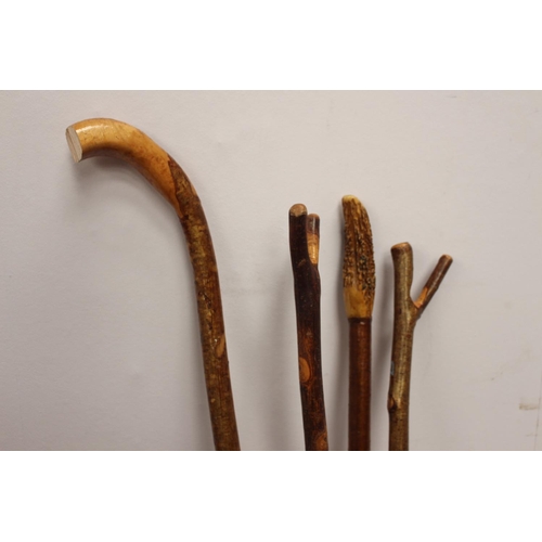 87 - Collection of four hiking/ walking sticks { 138cm H }.