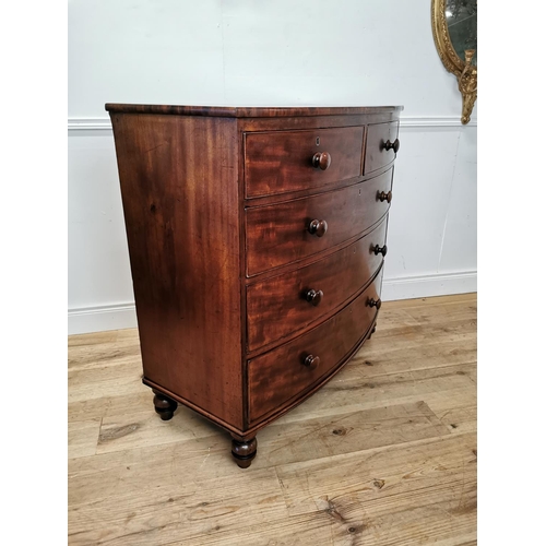 95 - Good quality 19th C. mahogany bow fronted chest of drawers with two short drawers over three graduat... 