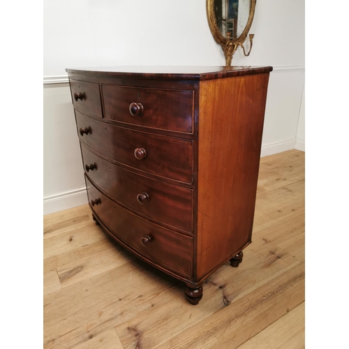 95 - Good quality 19th C. mahogany bow fronted chest of drawers with two short drawers over three graduat... 